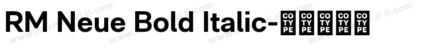 RM Neue Bold Italic字体转换